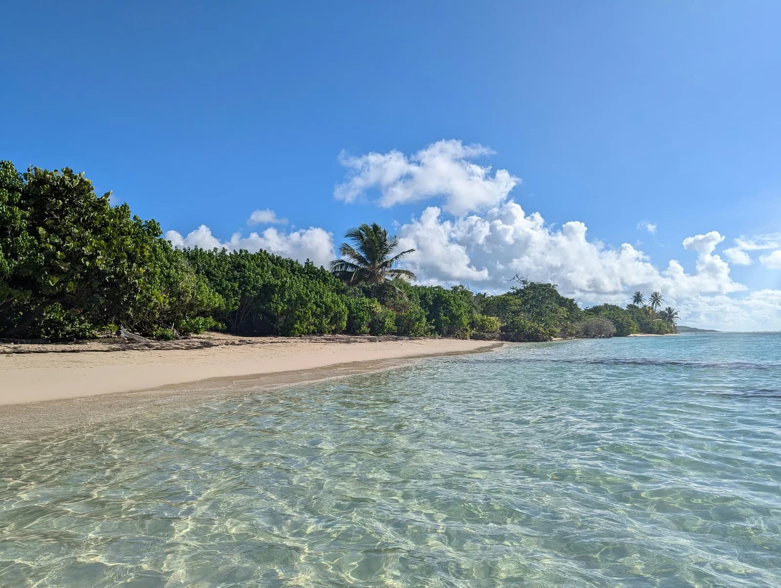 Plage caribéenne aux eaux cristallines à Saint-François